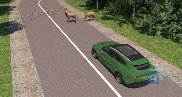 Priešais Jūsų transporto priemonę kelią perbėgo keletas stirnų. Šioje situacijoje: